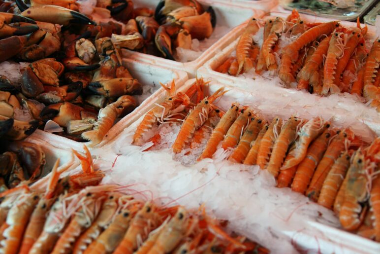 An image of norway lobsters lying on ice